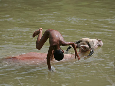 Mô tả ảnh.